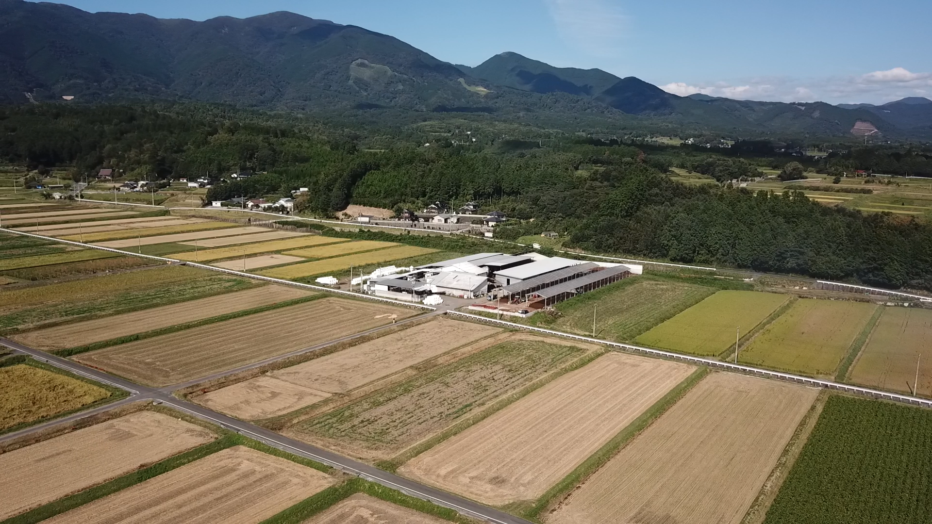 牛舎と那岐山